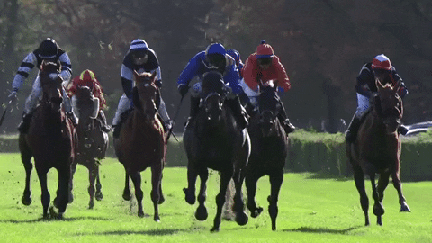 Cheltenham Racecourse GIFs - Get the best GIF on GIPHY