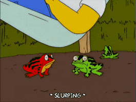 homer simpson toad GIF