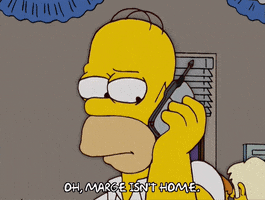 Episode 5 GIF by The Simpsons