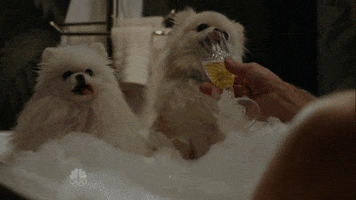theblacklist dogs bath best friends the blacklist