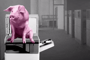 Office Pig GIF by Lightlife Foods