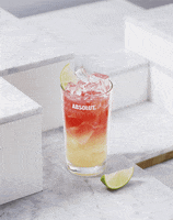 Drink GIF by Absolut Vodka