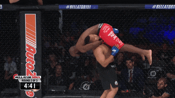 going down seriously GIF by Bellator