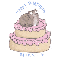 Cat Cake GIF - Cat Cake Birthday - Discover & Share GIFs