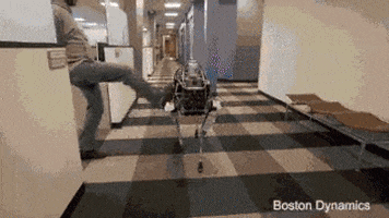 andriybrodetskyi  GIF