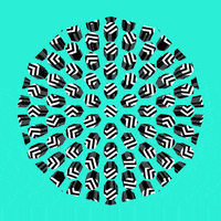 200.gif?cid=fc005b08fc5bde4621d381f1ace2ebd8508e44f9d8e32e5d&rid=200.gif&ct=g