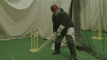 The Nations Cricket GIF by CBC