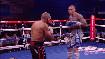 punch fighting GIF by SHOWTIME Sports