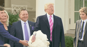 Donald Trump GIF
