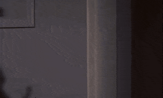 Door Opening Gifs Get The Best Gif On Giphy