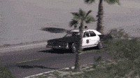 200w.gif