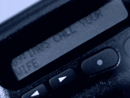 Betcha By Golly Wow Prince GIF