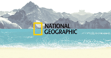 tiongkey lazada nat geo tripologie jake bros GIF