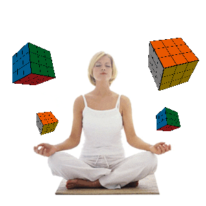 The Rubik's cube