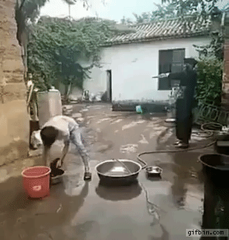 ambujshukla  GIF