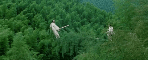 GIF by Crouching Tiger, Hidden Dragon  - Find & Share on GIPHY