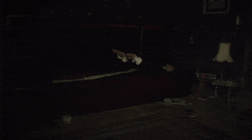vampire GIF by What We Do In The Shadows