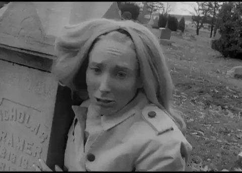 Giphy - scared night of the living dead GIF