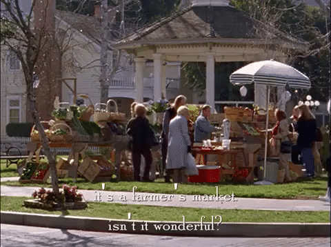 Season 2 Netflix GIF by Gilmore Girls  - Find & Share on GIPHY