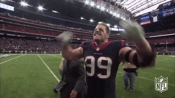 excited houston texans GIF by NFL