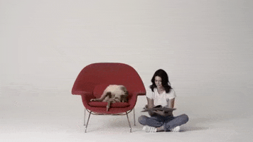 kendall jenner love GIF by Who What Wear