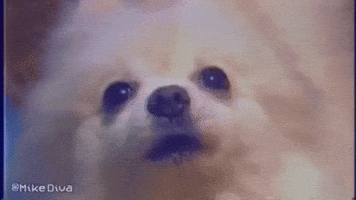 Care Bear Stare GIFs - Find & Share on GIPHY