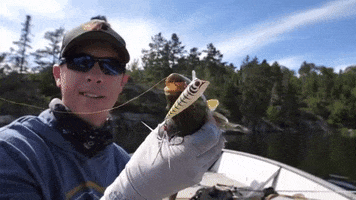 GIF by Karl's Bait & Tackle