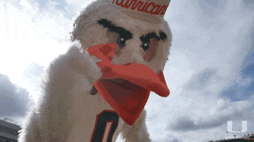 watching you college football GIF by Miami Hurricanes