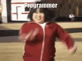 dungmvd programmer GIF
