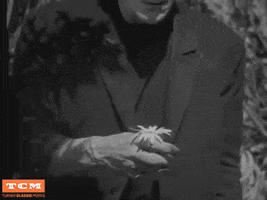 Flower Frankenstein GIF by Turner Classic Movies