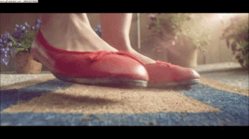 scottcarey  GIF