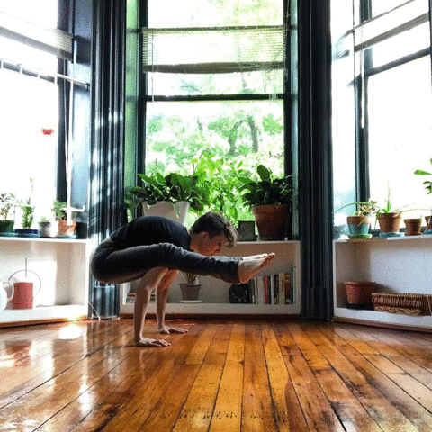 YogaPlus yoga loveyourself yogapose yogalove GIF