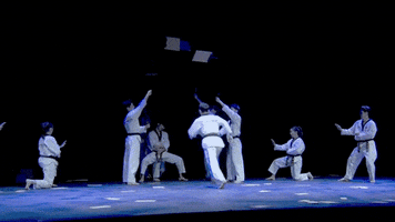 taekwondo conan korea GIF by Team Coco