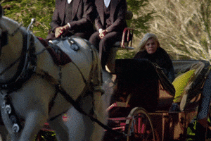 200.gif?cid=fc005b08e3aca5270d64c8b6c523a6c742e52915c3ee7c52&rid=200.gif&ct=g