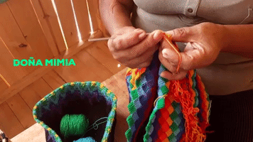 altonapolesenred latejedora #altonÃ¡polesenred #doÃ±amimia GIF