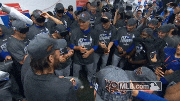 Los Angeles Dodgers Champagne GIF by MLB