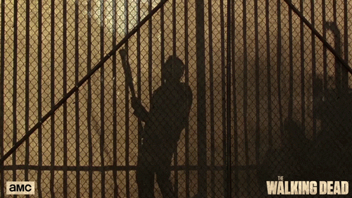 Amc-the-walking-dead-season-4 GIFs - Get the best GIF on GIPHY
