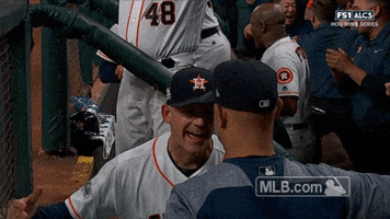Houston Astros Hug GIF by MLB