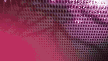spiderwire  GIF