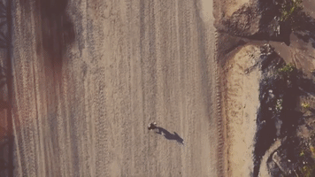 Zayde Wolf Lyric Video GIF