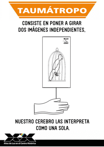 dgdcunam taumatropo museodelaluz ilusionesopticas GIF