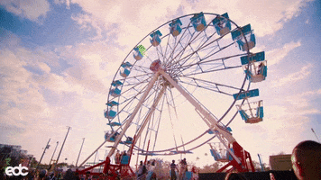 ferris wheel ride GIF by Insomniac Events