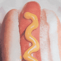 hot dog face GIF by GIPHY CAM
