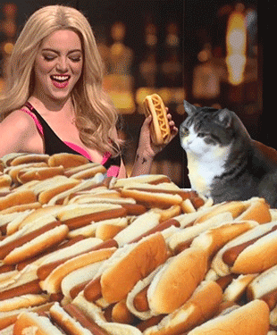Cat Hotdog GIF