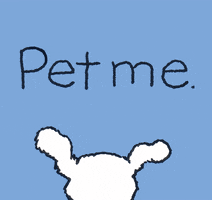 pet me i love dogs GIF by Chippy the dog