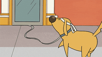 dog no GIF by Cartoon Hangover