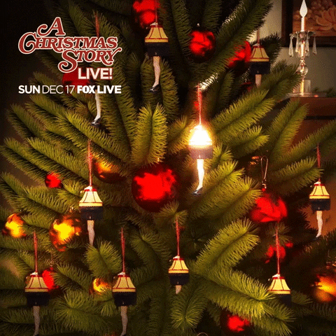 fox broadcasting advent calendar GIF by A Christmas Story Live