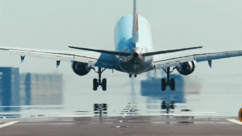 plane landing GIF by CBC