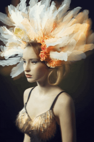 plotagraphpro plotagraph GIF