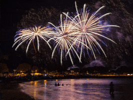 New Year Cars GIF by Croove